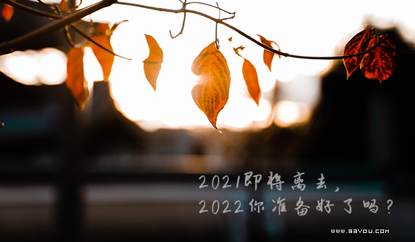 马上2022年了，回顾一下2021年那些记忆中的事！