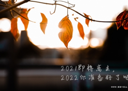 马上2022年了，回顾一下2021年那些记忆中的事！